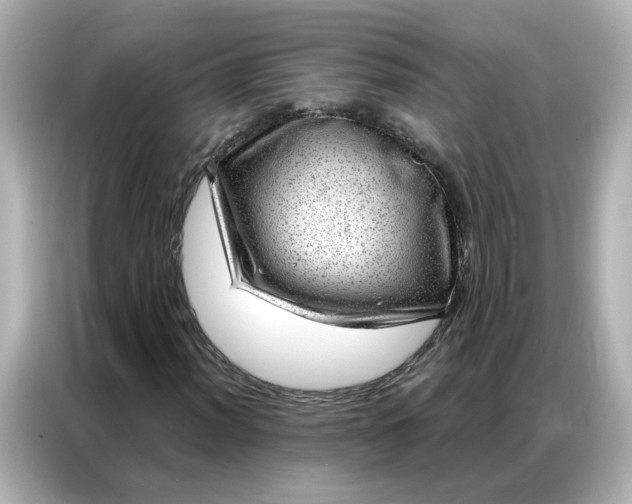 X0000086981012200704301313