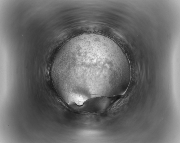 X0000086981013200704301313