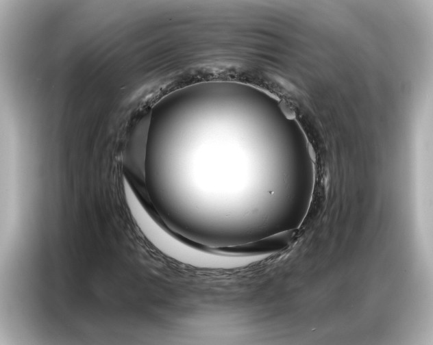 X0000086981014200704301313