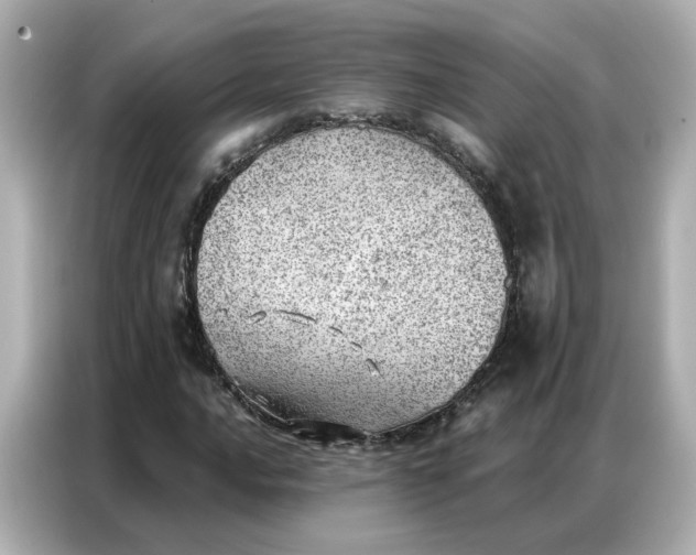 X0000086981016200704301313