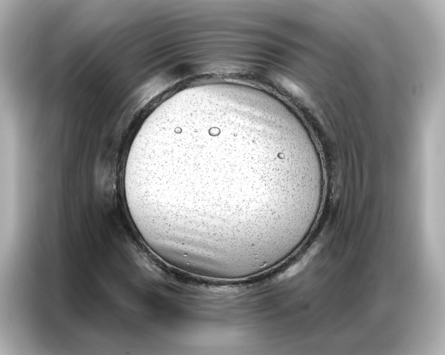 X0000086981017200704301313