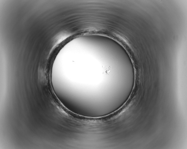 X0000086981018200704301313