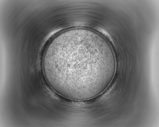 X0000086981019200704301313