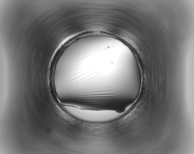 X0000086981020200704301313