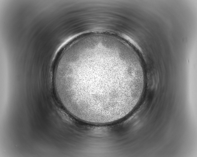 X0000086981021200704301313