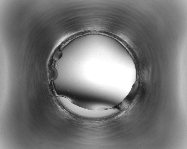 X0000086981022200704301313