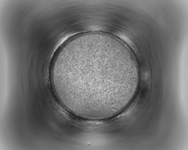 X0000086981023200704301313