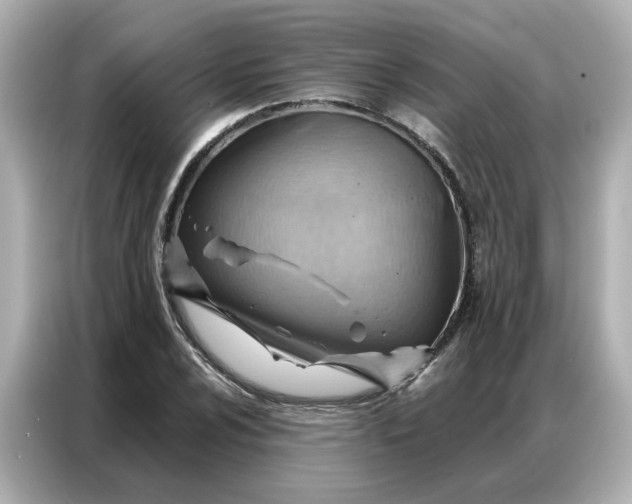 X0000086981024200704301313