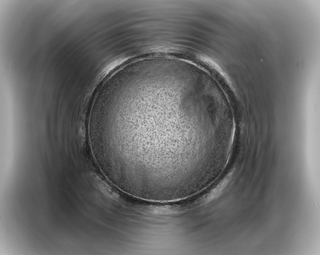 X0000086981025200704301313