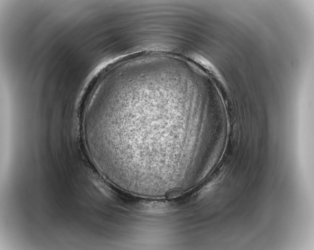 X0000086981027200704301313