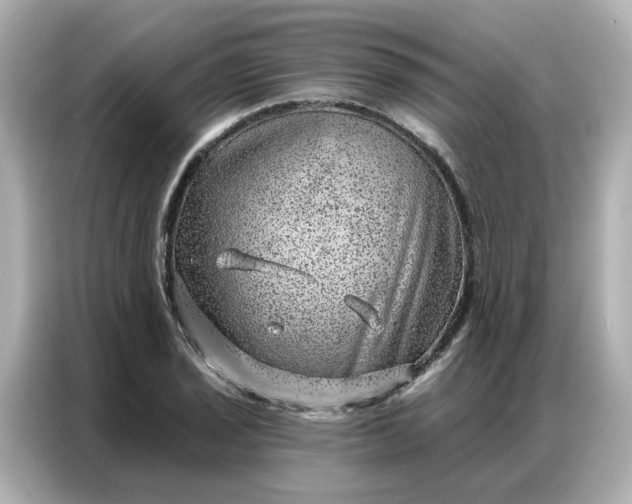 X0000086981029200704301313