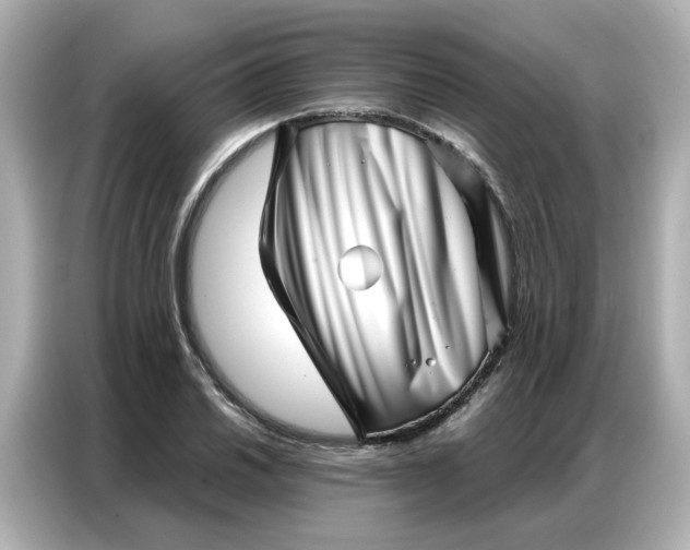 X0000086981030200704301313