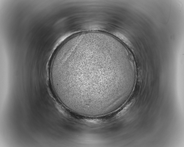 X0000086981031200704301313