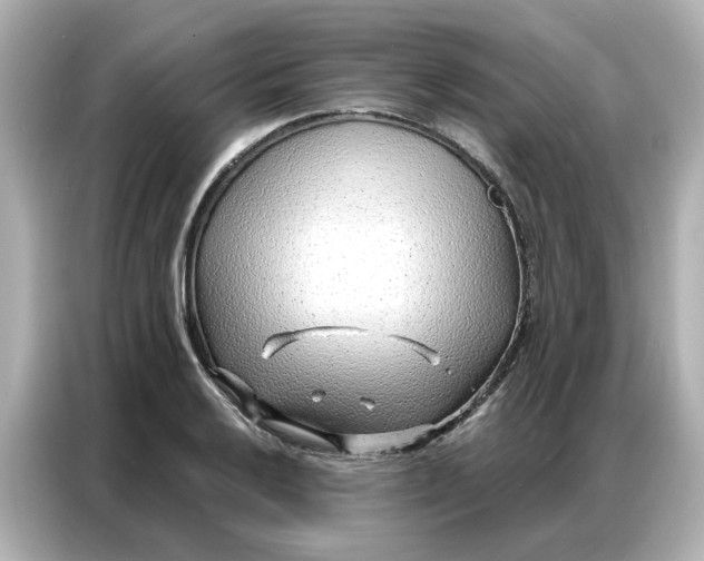 X0000086981032200704301313