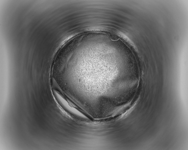 X0000086981033200704301313