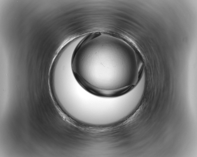 X0000086981034200704301313