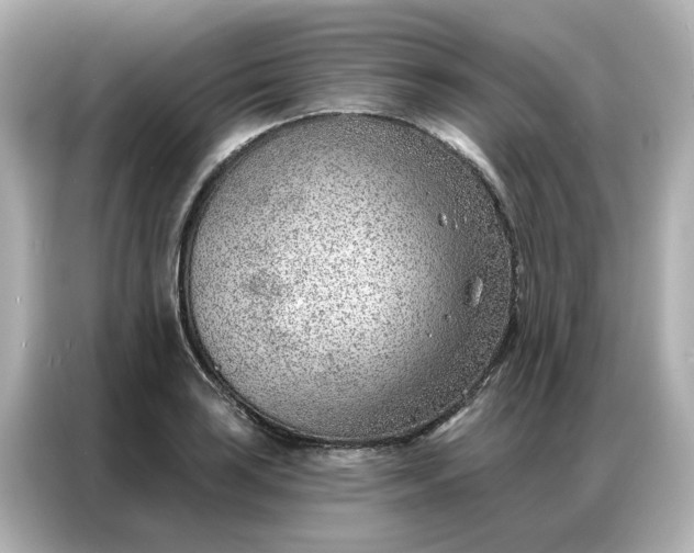 X0000086981035200704301313