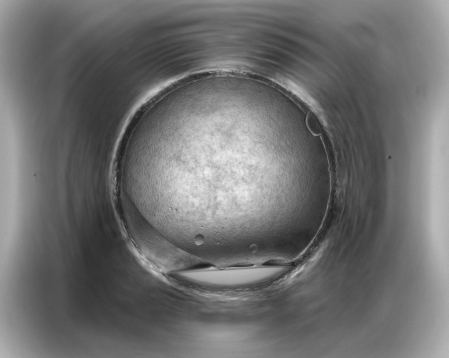 X0000086981037200704301313