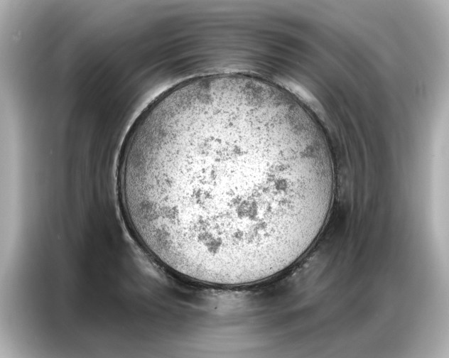 X0000086981039200704301313