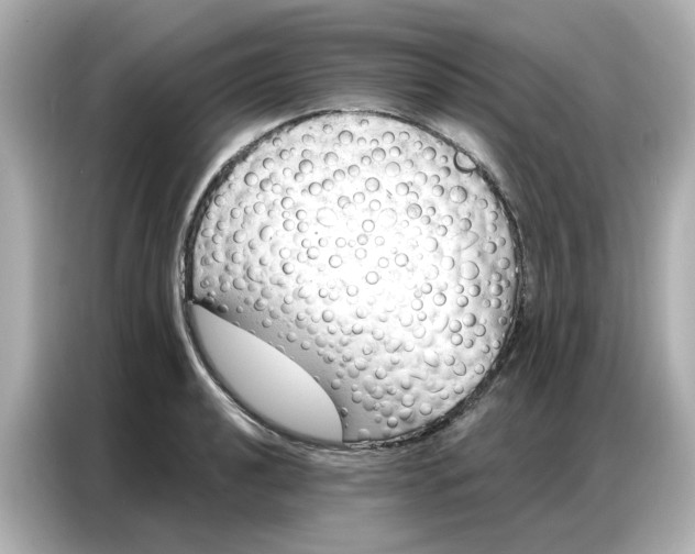 X0000086981040200704301313