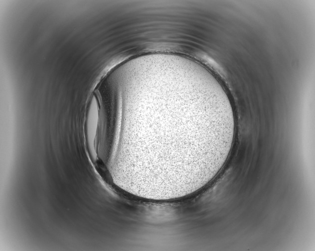 X0000086981041200704301313