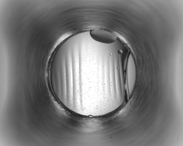 X0000086981042200704301313