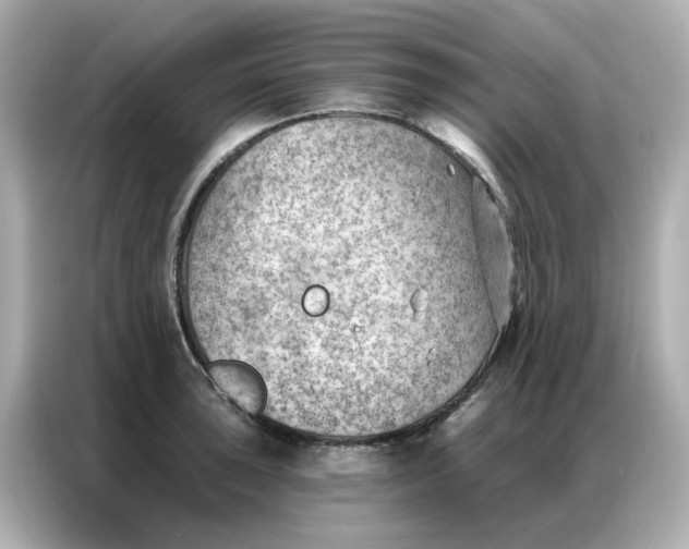 X0000086981043200704301313