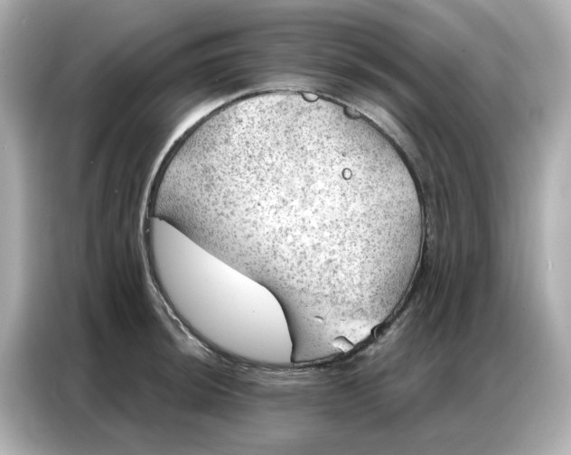 X0000086981044200704301313