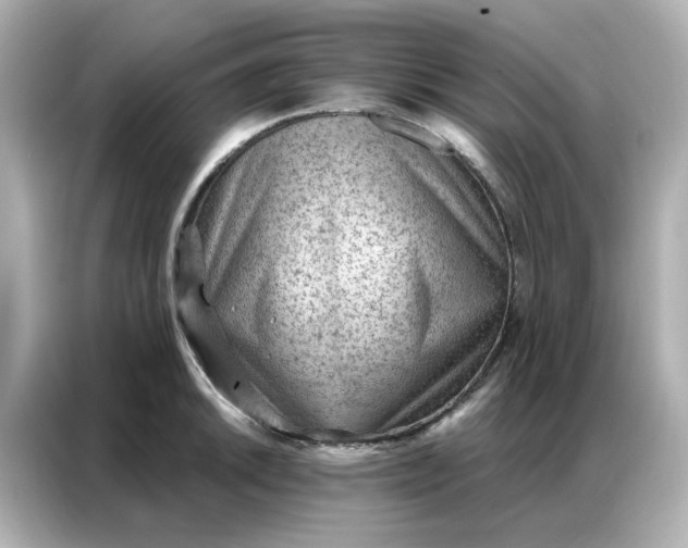 X0000086981046200704301313