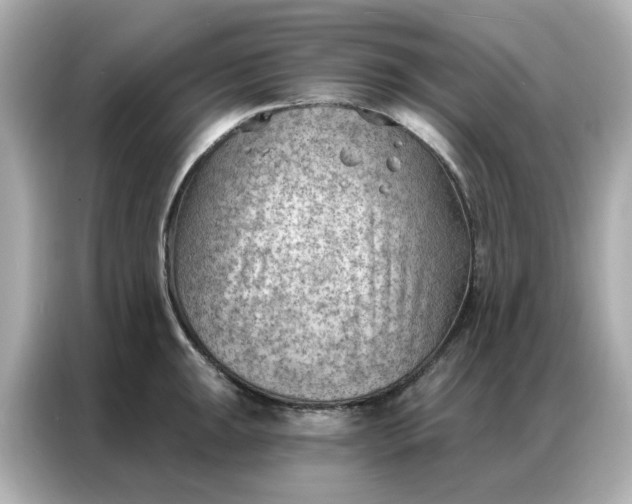 X0000086981047200704301314