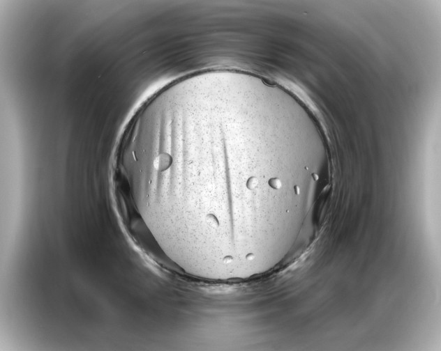 X0000086981048200704301314