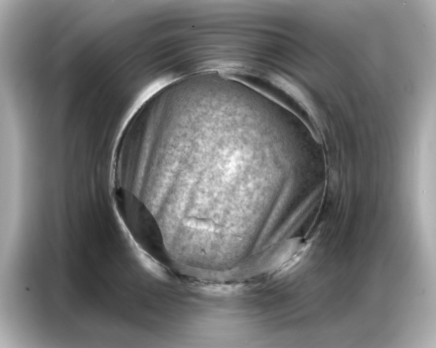 X0000086981050200704301314