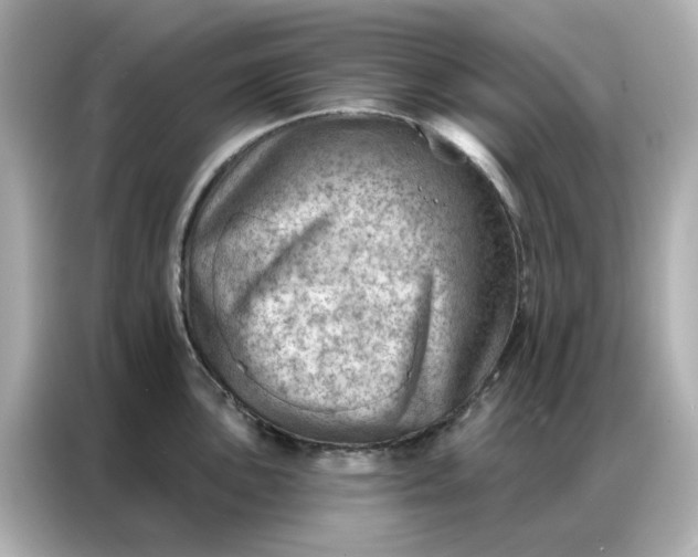 X0000086981051200704301314