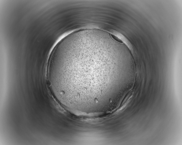 X0000086981052200704301314