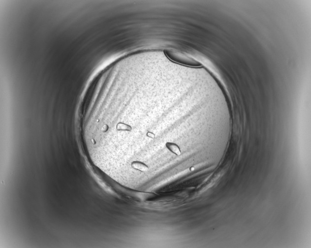 X0000086981053200704301314