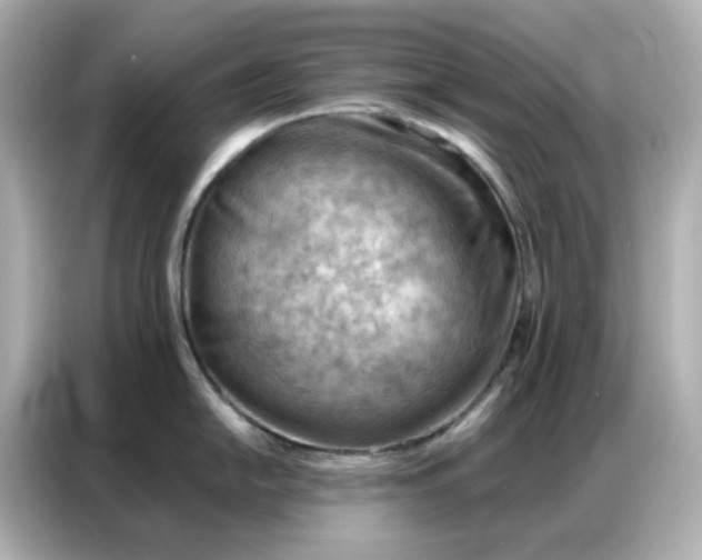 X0000086981054200704301314