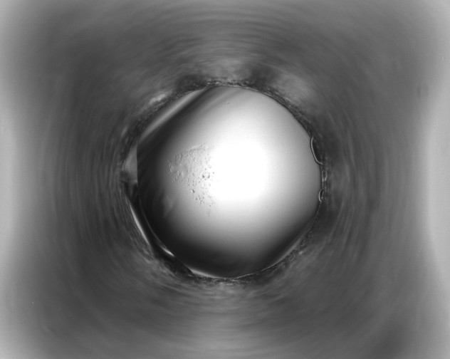 X0000086981058200704301313