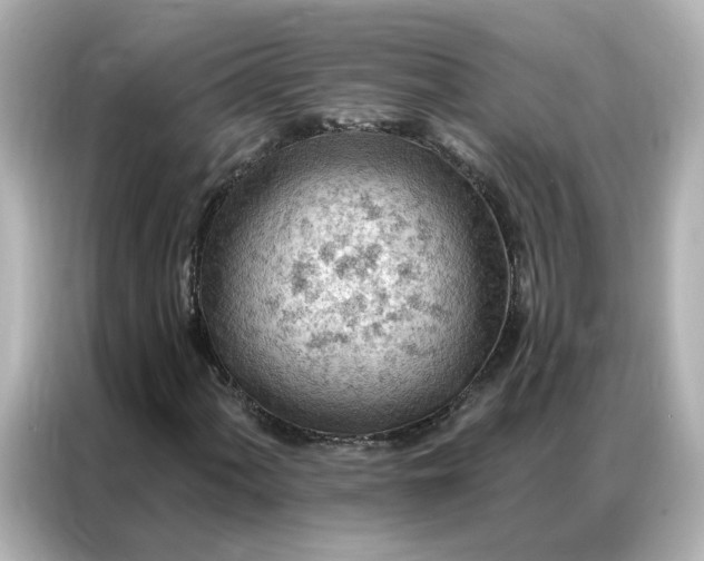 X0000086981060200704301313