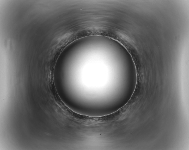 X0000086981061200704301313