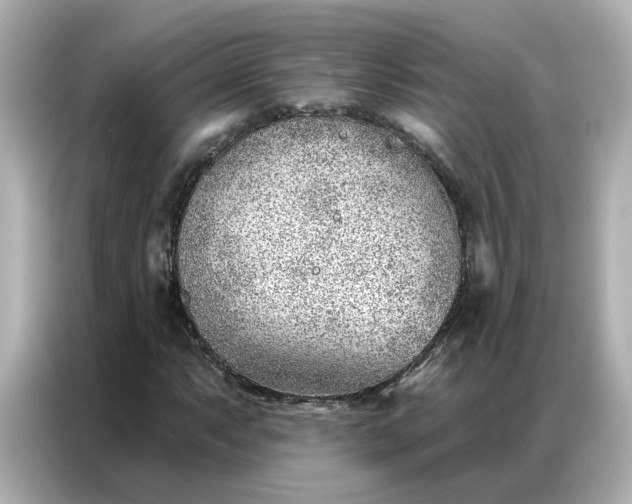 X0000086981063200704301313