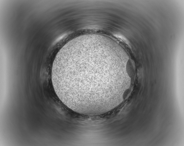 X0000086981064200704301313