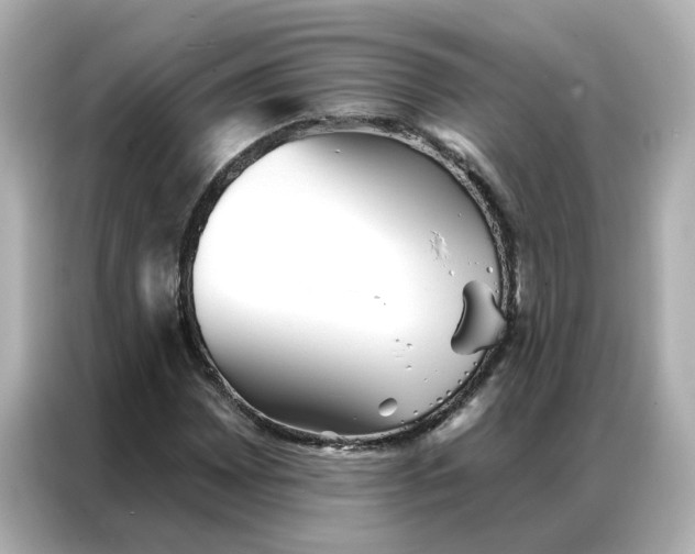 X0000086981065200704301313