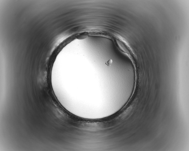 X0000086981066200704301313