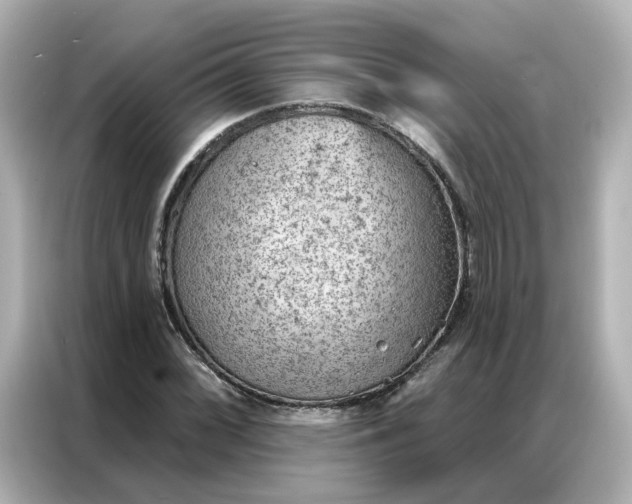 X0000086981068200704301313