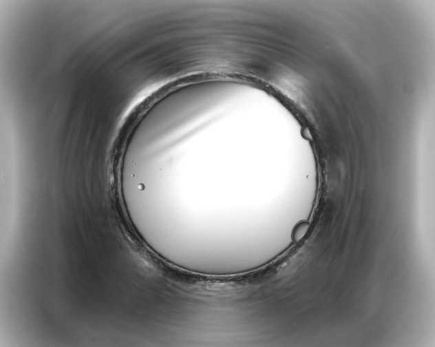 X0000086981070200704301313