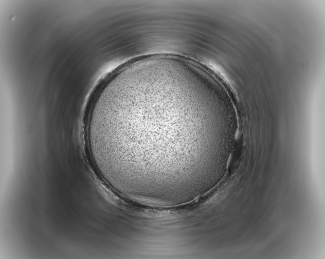 X0000086981072200704301313