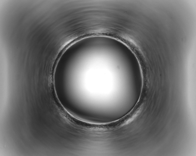 X0000086981073200704301313