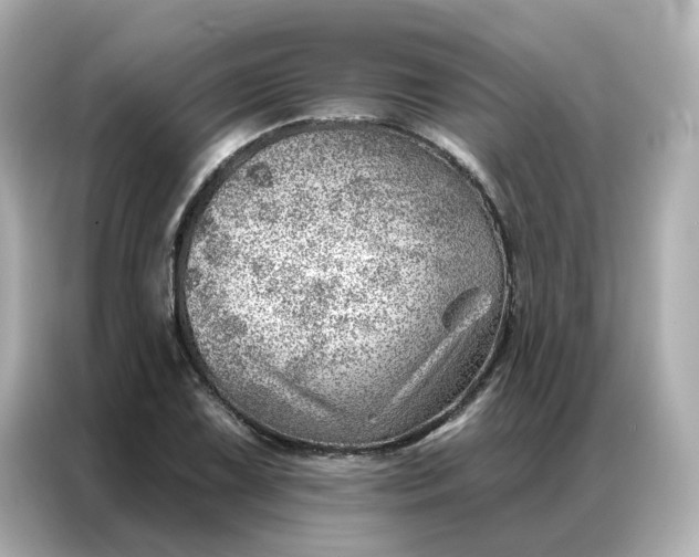 X0000086981075200704301313