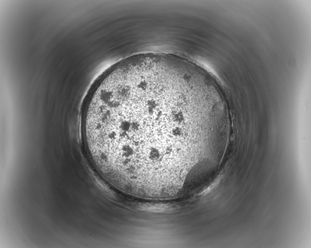 X0000086981079200704301313