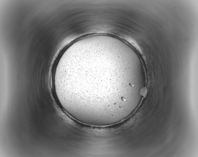 X0000086981080200704301313